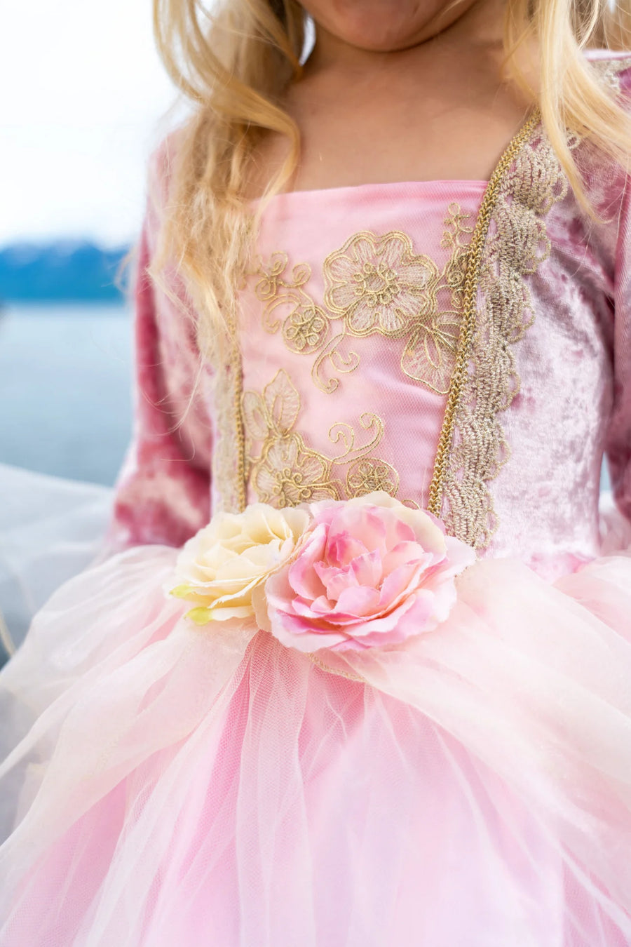Robe de princesse Rose - Great Pretenders