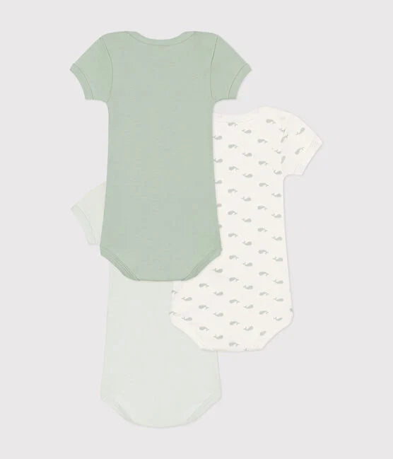 Set of 3 short-sleeved mini whale cotton baby bodysuits - Petit Bateau