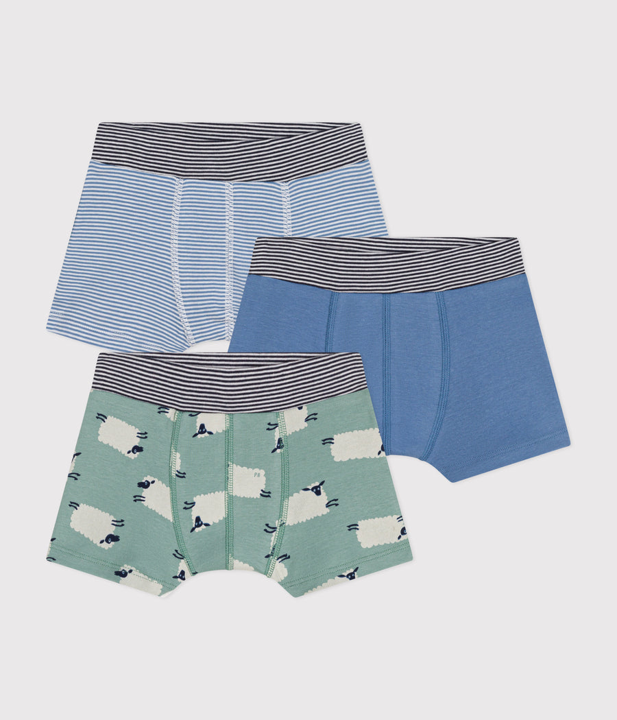 Pack of 2 little boy's cotton boxers - Petit Bateau