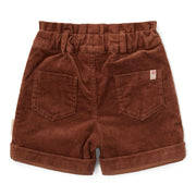 Shorts Walnut brown - Little Dutch