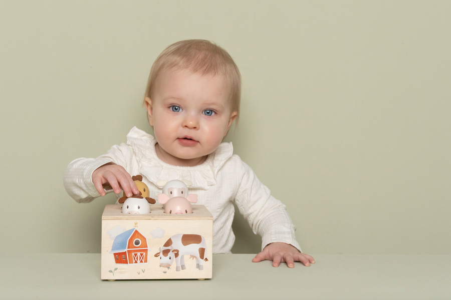 Hamerbankje met rollende balletjes Little Farm - Little Dutch 