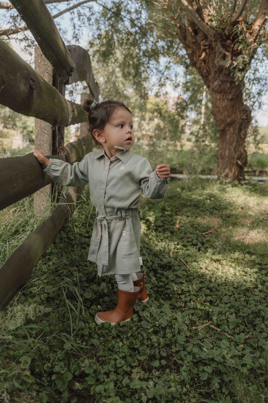 Long Sleeve Dress Green - Little Dutch