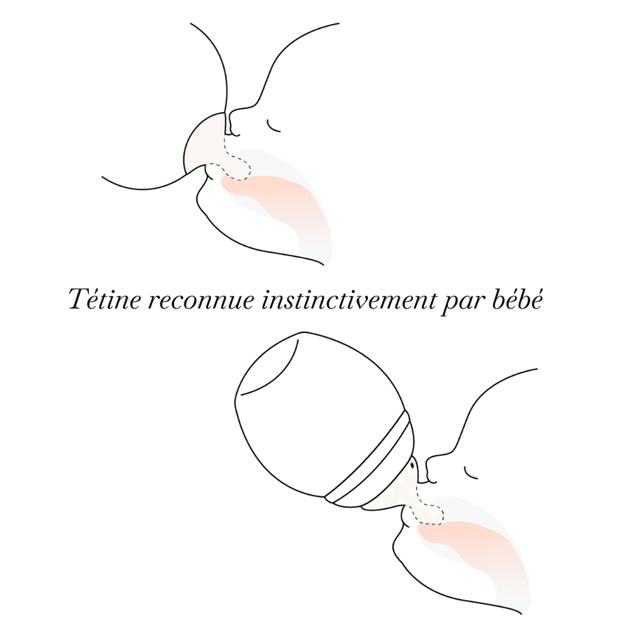 Fysiologische spenen met langzame stroom (S) - Élhée